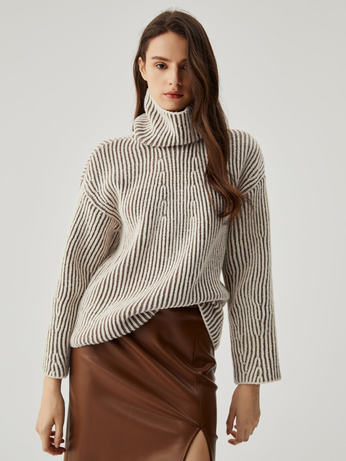 Turtleneck Striped Knit Sweater