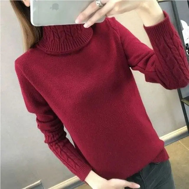 Warm Turtleneck Sweater for women